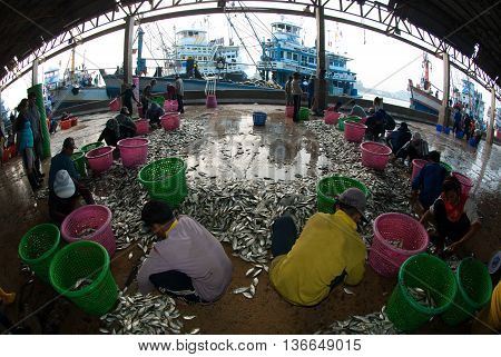 SAMUTSAKORN, THAILAND-SEPTEMBER 17, 2009: Talaythai seafood market, Trading center of fish and seafood products processing integrated in the country on September 17, 2009 in Samutsakorn, Thailand.