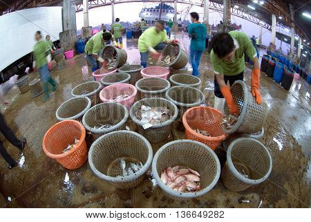 SAMUTSAKORN, THAILAND-SEPTEMBER 17, 2009: Talaythai seafood market, Trading center of fish and seafood products processing integrated in the country on September 17, 2009 in Samutsakorn, Thailand.