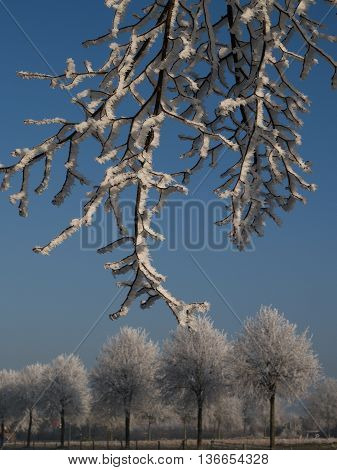 winter at the Castle of raesfeld in germany