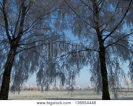 winter at the Castle of raesfeld in germany