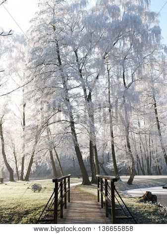winter at the Castle of raesfeld in germany