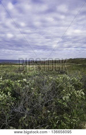 Marconi National Seashore area, Wellfleet, MA Cape Cod