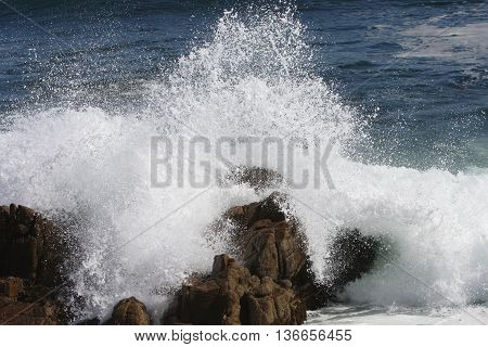 Waives and rocks at Asilomar State Preserve in Pacific Grove.
California.