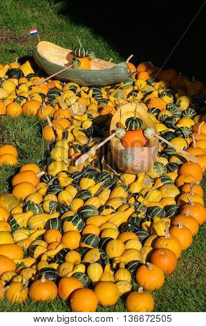 many pumpkins in Germany a thanksgivin day