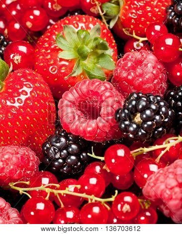 image of berrys - strawberry currant blackberry raspberry...