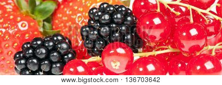 image of berrys - strawberry currant blackberry raspberry...