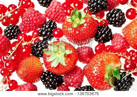 Image of berrys - strawberry currant blackberry raspberry...