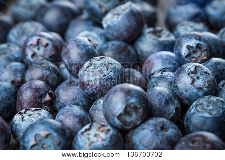 Image of Fresh Berries - Blueberries background closeup