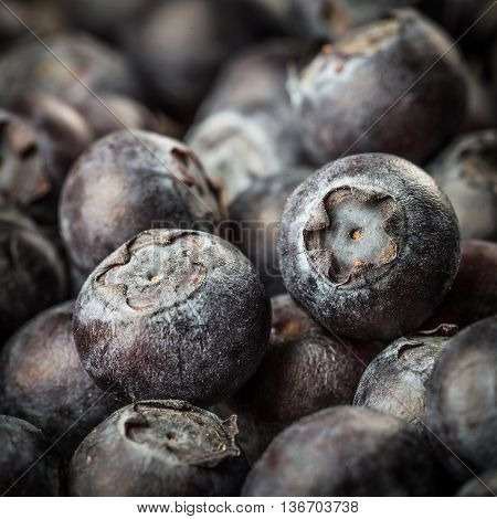 Image of Fresh Berries - Blueberries background closeup