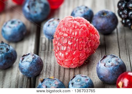 Blueberries Background