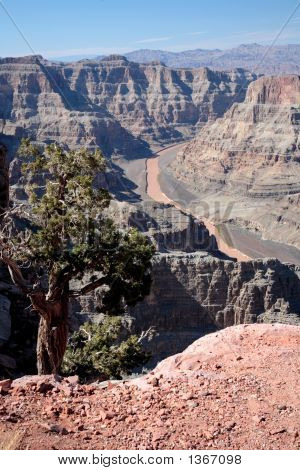Parco nazionale del Grand Canyon 