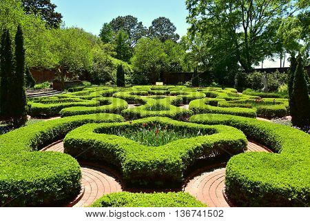 New Bern North Carolina - April 24 2016: Clipped Boxwood hedges line brick pathways in the Maude Moore Latham Memorial Knot Garden at 1770 Tryon Palace