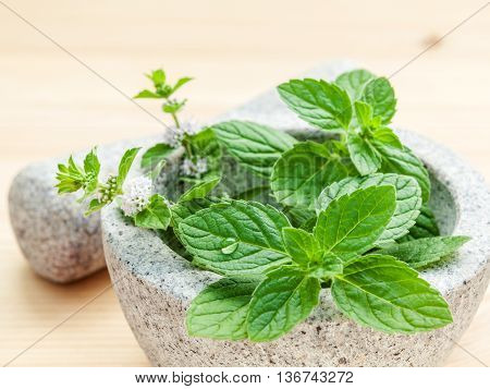 Closeup Fresh Peppermint Leaves In The White Mortar With Pestle On Bamboo Cutting Board . Shallow De
