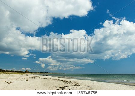 Marielyst Beach In Denmark