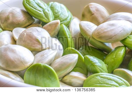 Parkia speciosa ( petai bitter bean twisted cluster bean stinker or stink bean) with white cup and spoon