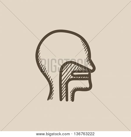Head with ear, nose, throat system vector sketch icon isolated on background. Hand drawn head with ear, nose, throat system icon. Head with ear, nose, throat icon for infographic, website or app.