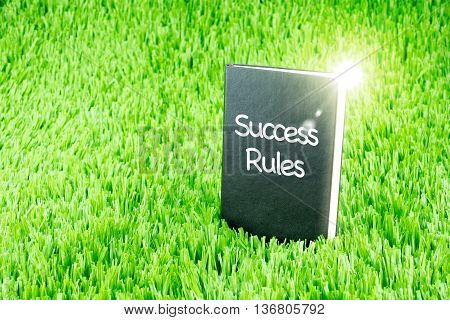 Shining Black Book On Grass With 