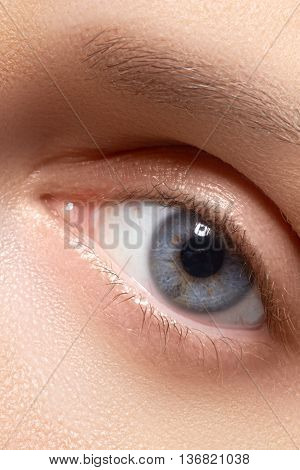 Female Eye With Long Eyelashes Close-up. Blue Eye