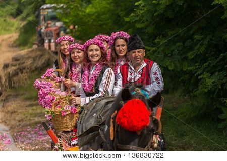 Rose Picking Festival