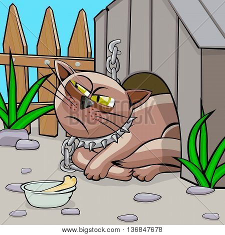 The cat sits on a chain in the doghouse. The cat is suspicious and sullen expression of a muzzle. Cartoon vector illustration with isolated objects.