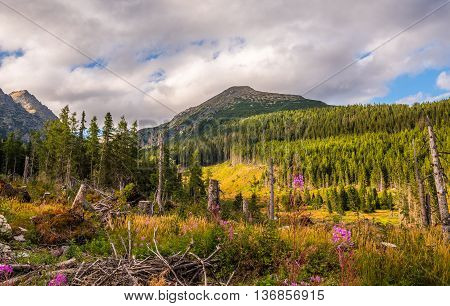 Mountain Landscape on Cloudy Day with Evening Sun. Mlynicka Valley High Tatra Slovakia.