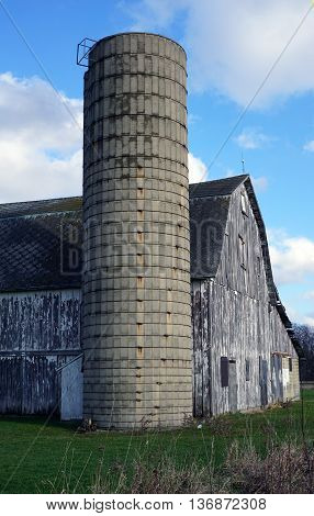 An abandoned 19th century barn and silo stand in the Plainfield Park District's Eaton Preserve in Plainfield, Illinois.