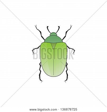Chafer. Old school tattoo style. Isolated on white. Vector Graphics.