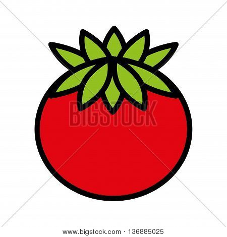 fesh vegetable tomato  isolated icon design, vector illustration  graphic