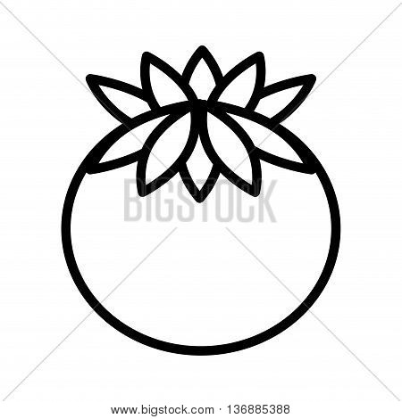 fesh vegetable tomato  isolated icon design, vector illustration  graphic