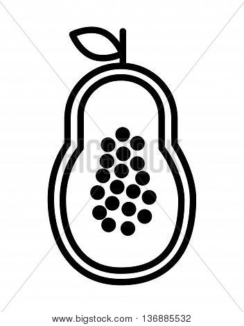 fesh fruit papaya  isolated icon design, vector illustration  graphic