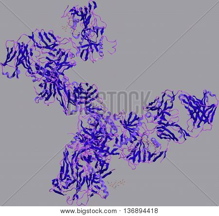 Ebola glycoprotein is found on the surface of the virus. It binds to receptors on a cell surface and then powers fusion of the virus with the cell membrane 3d illustration