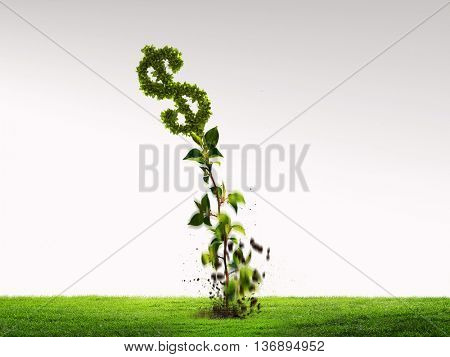 Grow your income
