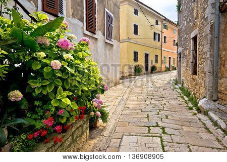 Stone street of Visnjan view Istria Croatia