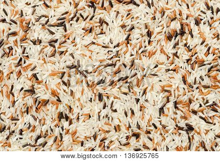 Food background with three mixed of Thai rice varieties : brown rice mixed wild rice white (jasmine) rice. species Oryza sativa.