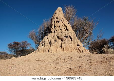 Massive termite mound against a blue sky, southern Africa