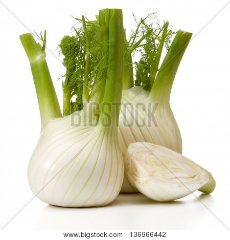 Fresh fennel bulb isolated on white background close up