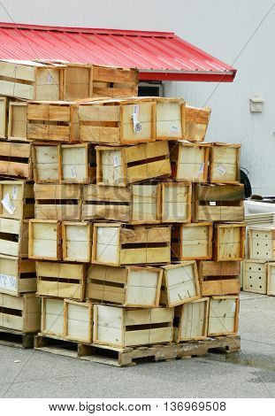Wooden vegetable crates stacked high onto pallets.