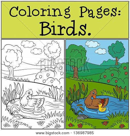 Coloring Pages: Birds. Mother duck swims with her little cute duckling in the pond.