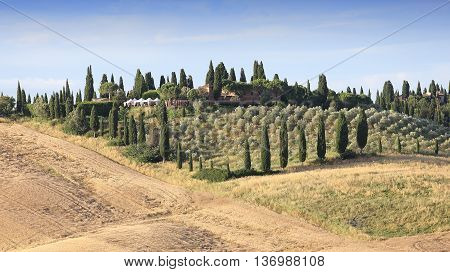 Crete Senesi, Siena, Tuscany, Italy
