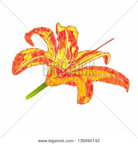 Spring flower Lily Daylily polygons vector illustration