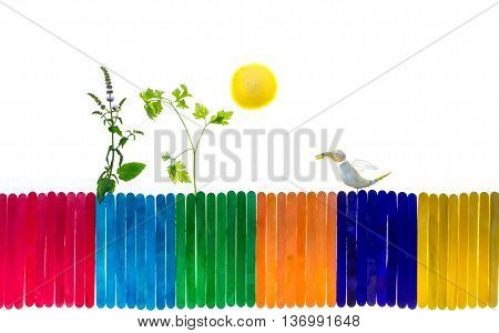 Composition with mintleafs,parsley lemon and garlic isolated on white background