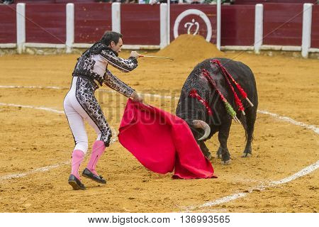 Ubeda Spain - October 4 2010: The Spanish Bullfighter El Cid preparing to enter to kill the bull in the Bullring of Ubeda Spain