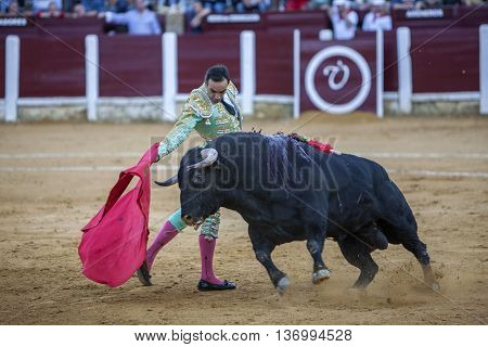 Ubeda Spain - September 29 2010: The Spanish Bullfighter Daniel Luque bullfighting with the crutch in the Bullring of Ubeda Spain