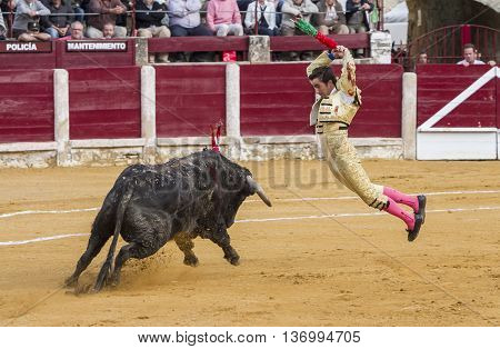 Ubeda SPAIN - October 4 2010: El Fandi putting flags during a bullfight Ubeda Jaen province Andalusia Spain