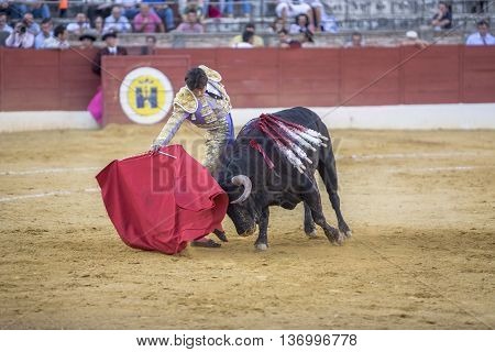 Baeza Spain - August 15 2009: The Spanish Bullfighter Sebastian Castella bullfighting with the crutch in the Bullring of Andujar Spain