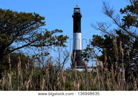 The fire Island lighthouse from behind the brush