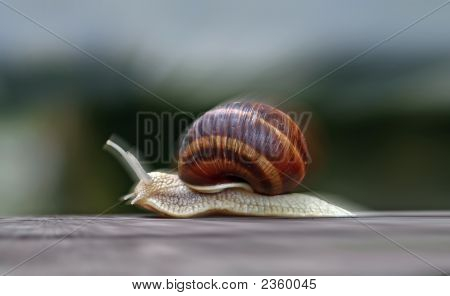 Excesso de velocidade de caracol