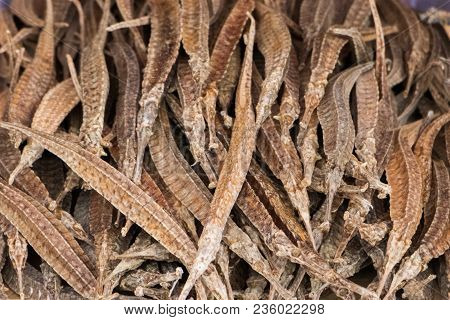 Dried Seahorse Traditional Chinese Medicine.dry Seahorse In Asia Market And Traditional Phamacy