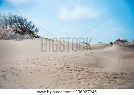 The Beach That Leads To The Sea. On It Are Visible Traces People