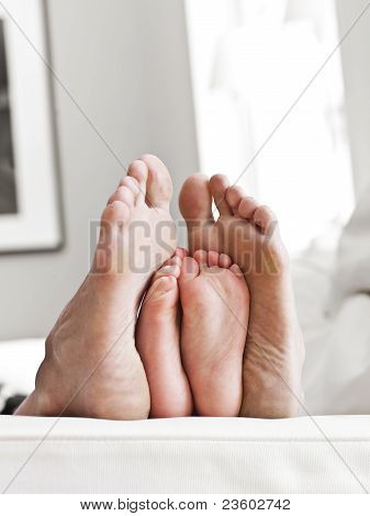 Sola dos pés